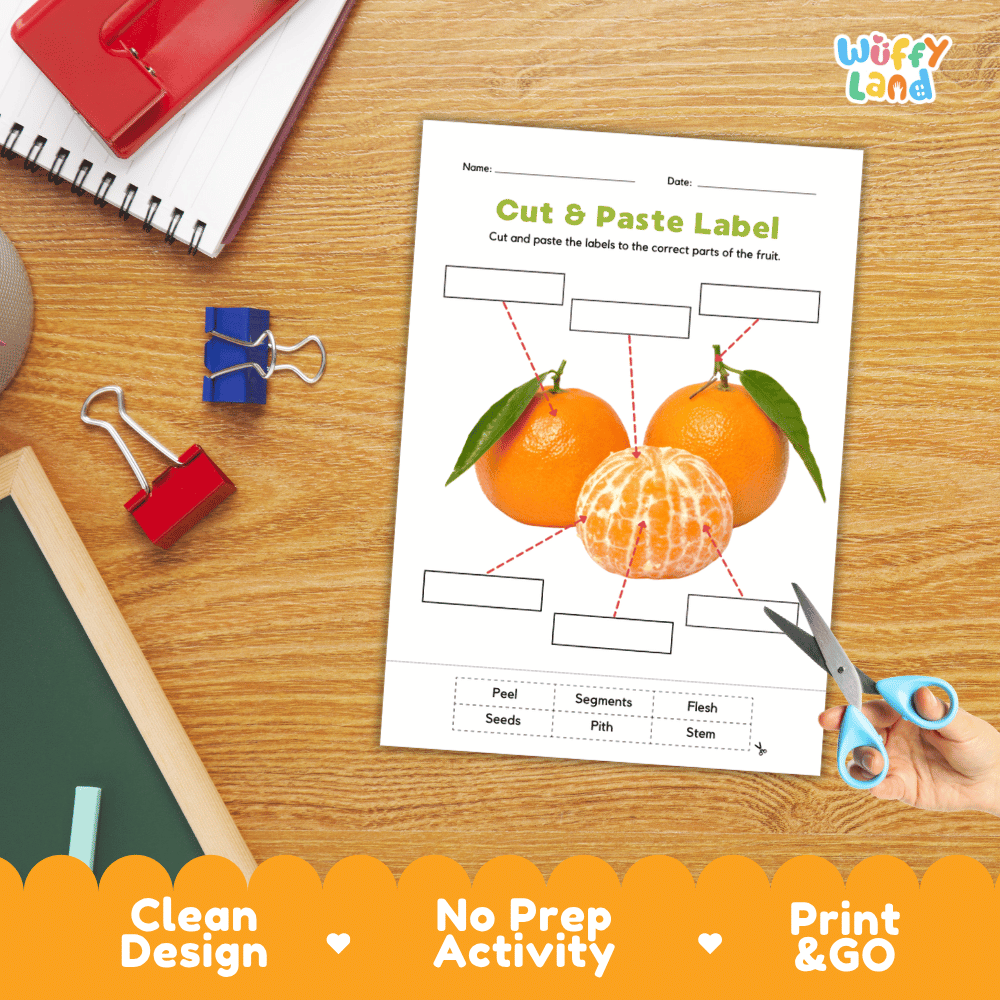 Differentiated clementine fruit labeling worksheets featuring write-in callout boxes and vocabulary word bank