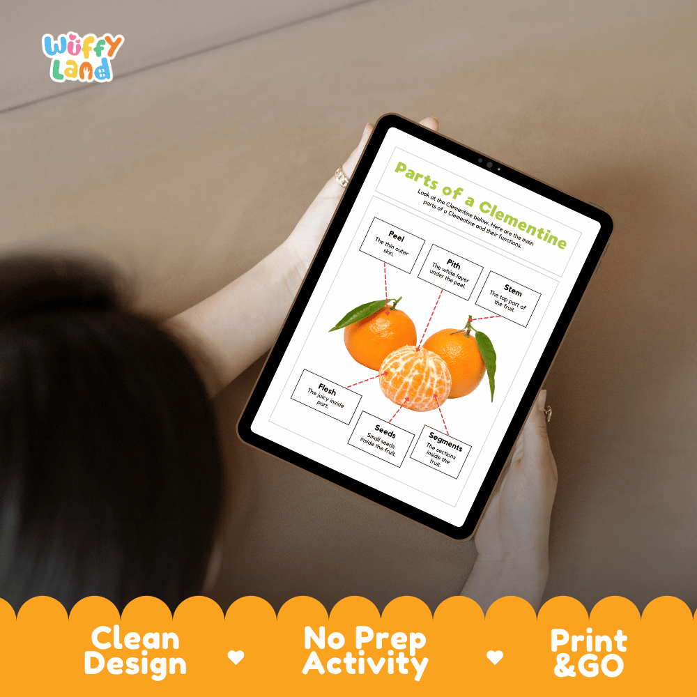 Hands-on cut and paste clementine labeling worksheet featuring dashed cut-out word tiles, pointer lines, and scissors graphic