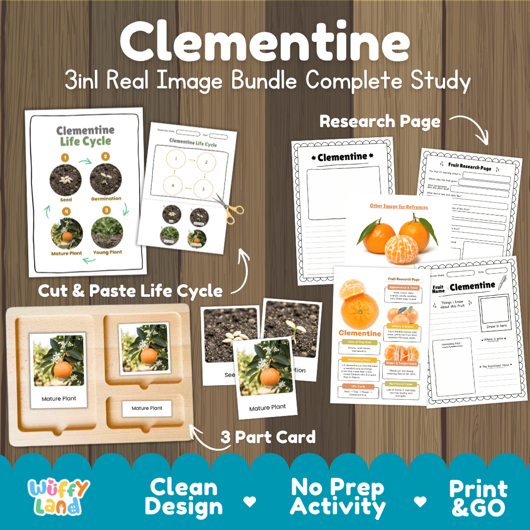 Complete Clementine 3-in-1 real image study bundle featuring cut and paste worksheets, Montessori 3-part cards, and research pages 🍊🌱