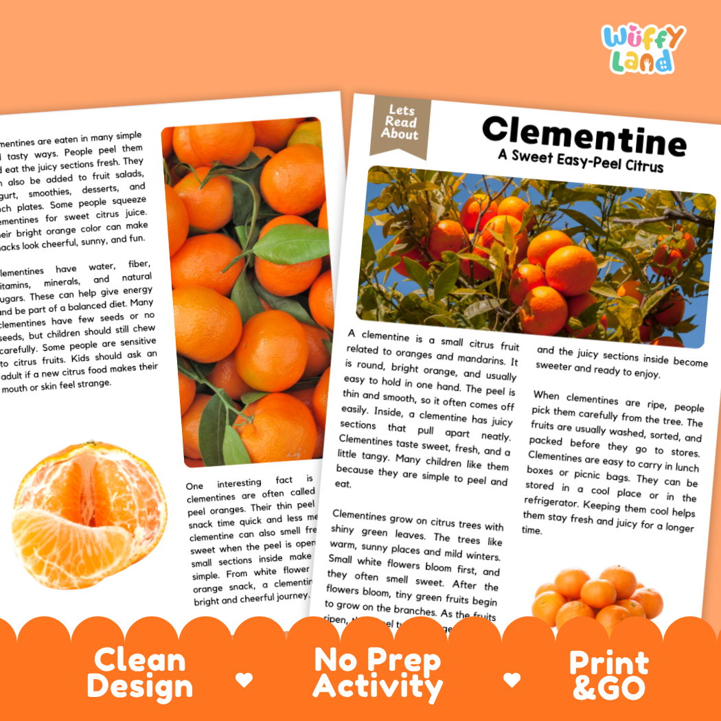 Teacher answer key page showing complete question solutions for clementine reading comprehension practice