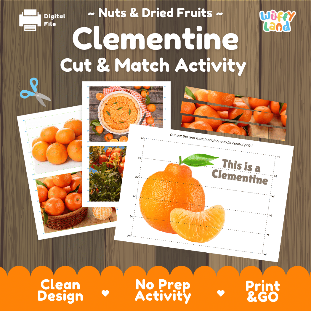 Clementine Cut and Match Activity Worksheets | Nuts and Dried Fruits Puzzle Printables