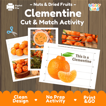 Clementine Cut and Match Activity Worksheets | Nuts and Dried Fruits Puzzle Printables