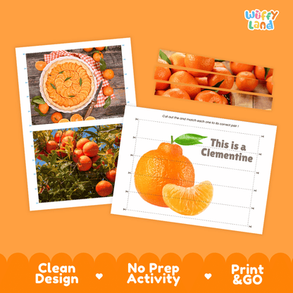 Clementine Cut and Match Activity Worksheets | Nuts and Dried Fruits Puzzle Printables