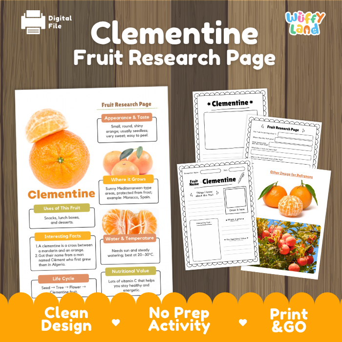 Clementine fruit research page printable set shown on a wood background, including a main poster-style page and several worksheet pages. The design features Clementine fruit photos, text sections, and a bright orange banner at the bottom with 'Clean Design', 'No Prep Activity', and 'Print & GO'.