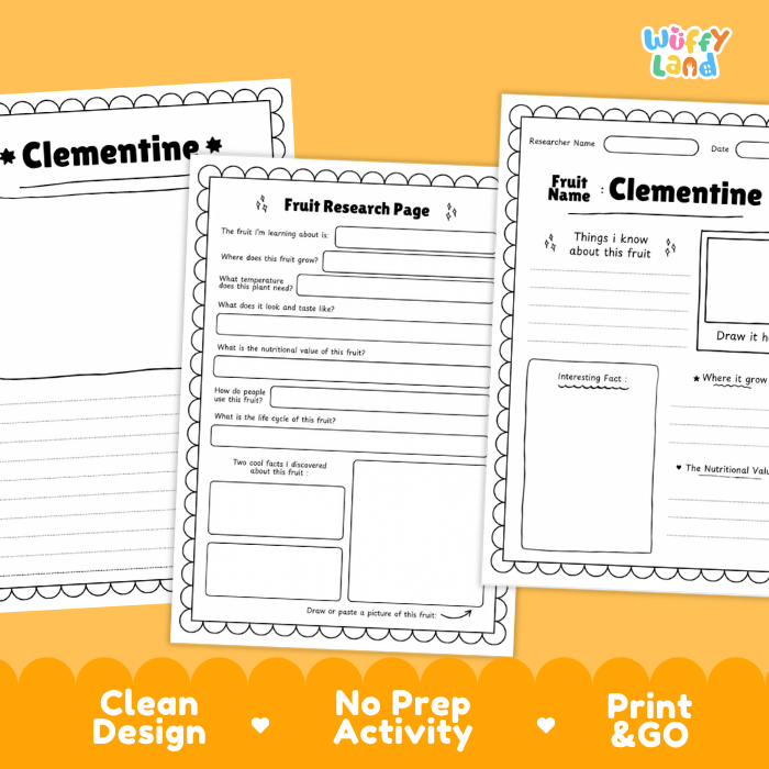 Three printable fruit research worksheet pages for Clementine are shown overlapping on an orange background with marketing text at the bottom. The pages are white with black outlines and text, and the top-right corner includes the Wiffi Land logo.