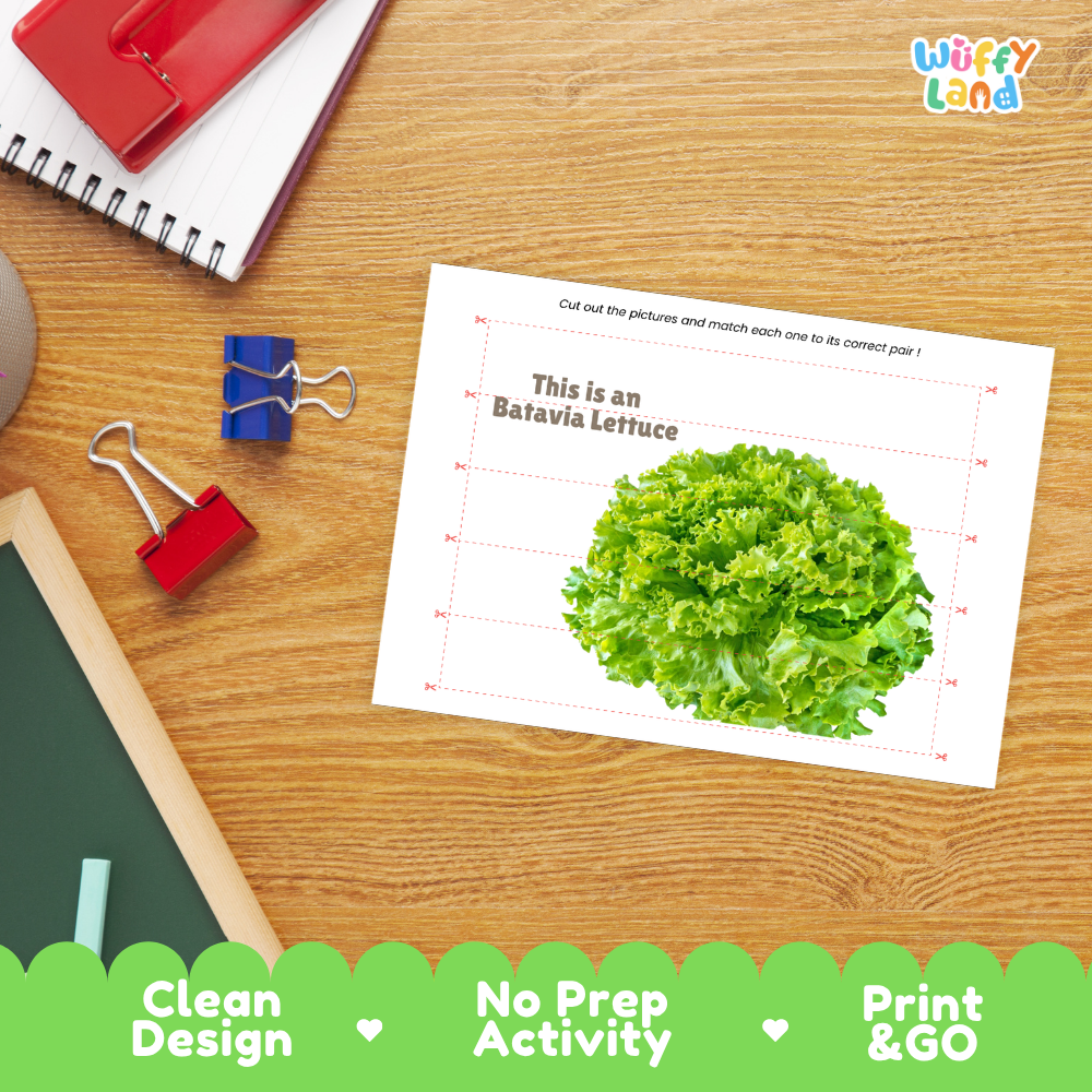 Close-up of puzzle worksheet showing Batavia lettuce images and dotted scissor lines