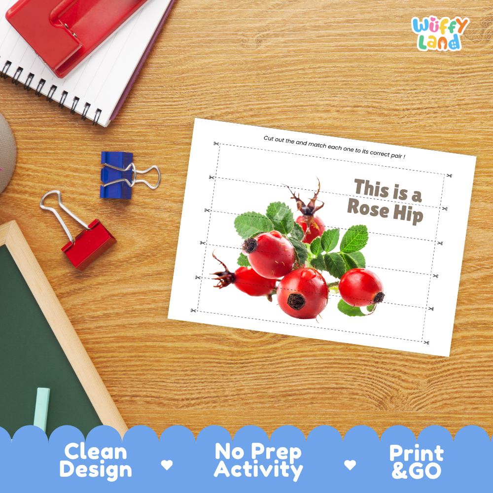 Close-up of puzzle worksheet showing rose hip images and dotted scissor lines