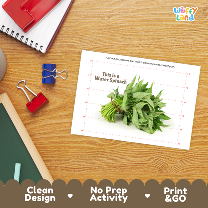 Close-up of puzzle worksheet showing water spinach images and dotted scissor lines