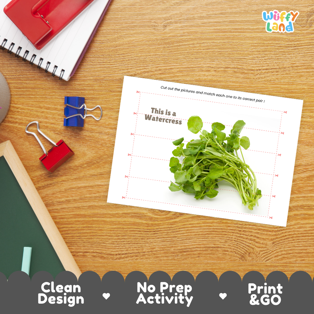 Close-up of puzzle worksheet showing watercress images and dotted scissor lines