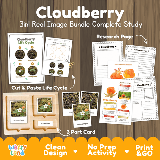 Complete Cloudberry 3-in-1 real image study bundle featuring cut and paste worksheets, Montessori 3-part cards, and research pages 🫐🌱