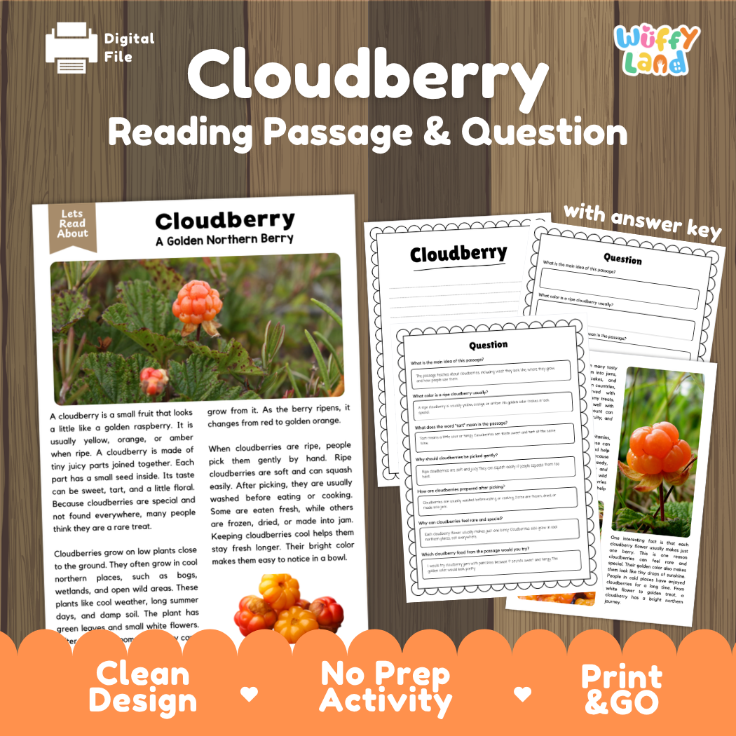 Cloudberry reading comprehension passage and questions printable activity pack with answer key for elementary students