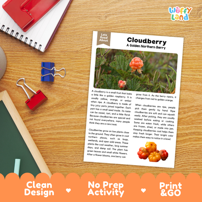 Student reading comprehension worksheet with short-answer questions and lined sections about cloudberries