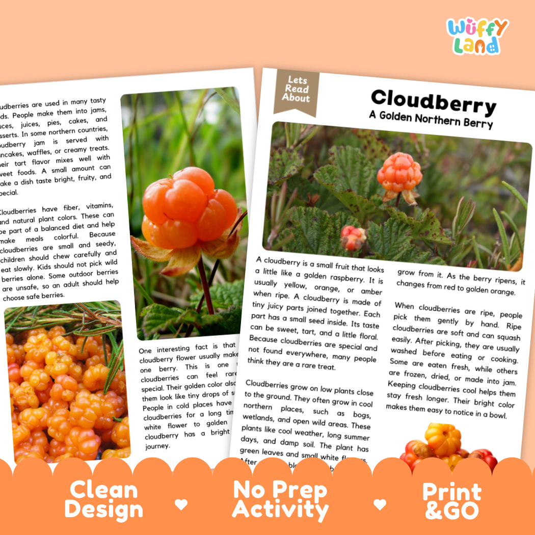 Teacher answer key page showing complete question solutions for cloudberry reading comprehension practice