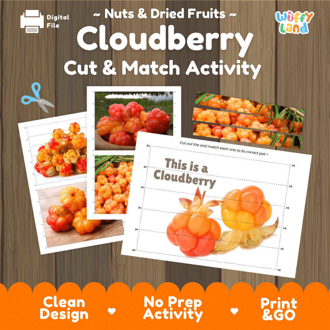 Cloudberry Cut and Match Activity Worksheets | Nuts and Dried Fruits Puzzle Printables