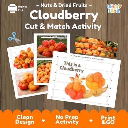 Cloudberry Cut and Match Activity Worksheets | Nuts and Dried Fruits Puzzle Printables