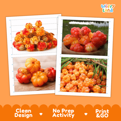 Cloudberry Cut and Match Activity Worksheets | Nuts and Dried Fruits Puzzle Printables