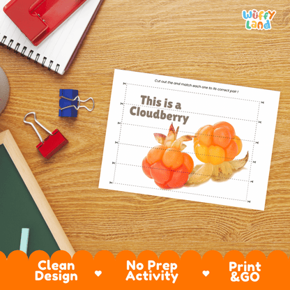 Cloudberry Cut and Match Activity Worksheets | Nuts and Dried Fruits Puzzle Printables