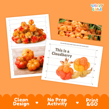 Cloudberry Cut and Match Activity Worksheets | Nuts and Dried Fruits Puzzle Printables