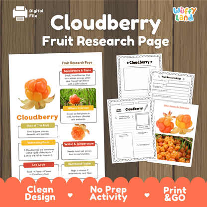 Cloudberry Fruit Research Page Worksheet Activity Science Arctic Healthy Eating