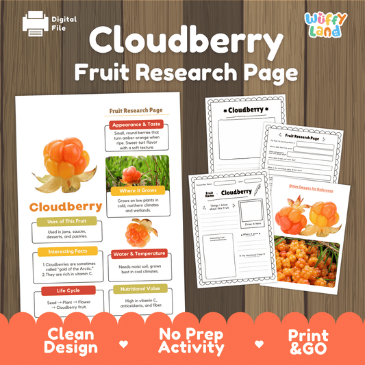 Cloudberry Fruit Research Page Worksheet Activity Science Arctic Healthy Eating