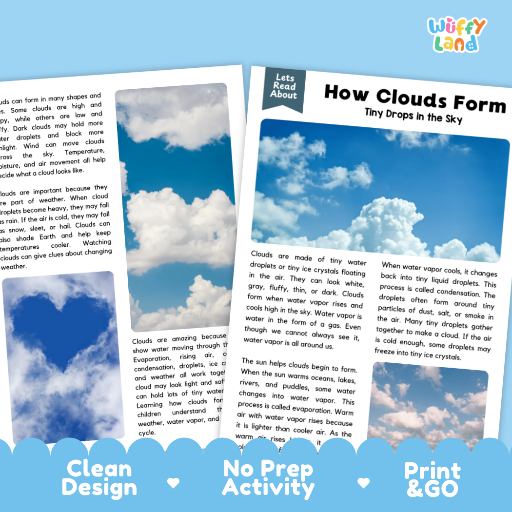 Complete teacher answer key worksheet providing detailed model responses for cloud comprehension questions