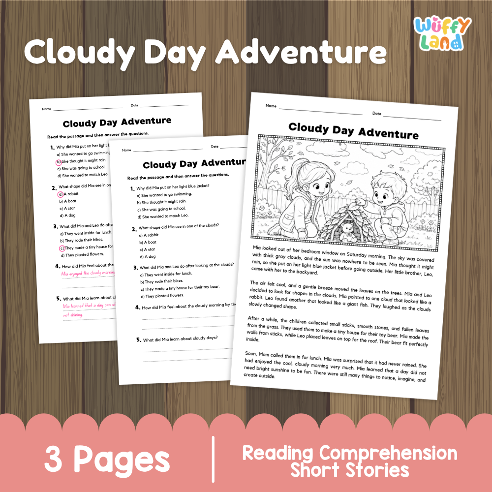 Cloudy Day Adventure Reading Comprehension Passage and Questions Worksheets