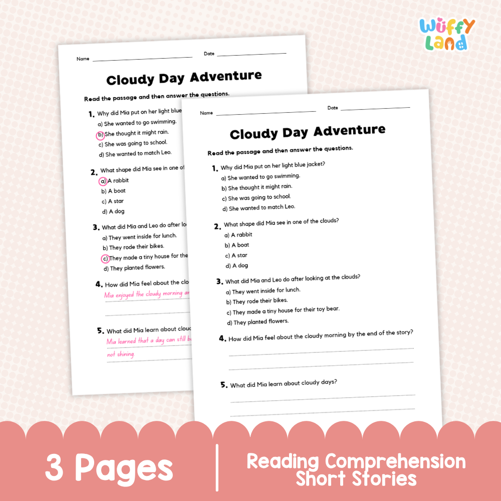 Cloudy Day Adventure Reading Comprehension Passage and Questions Worksheets