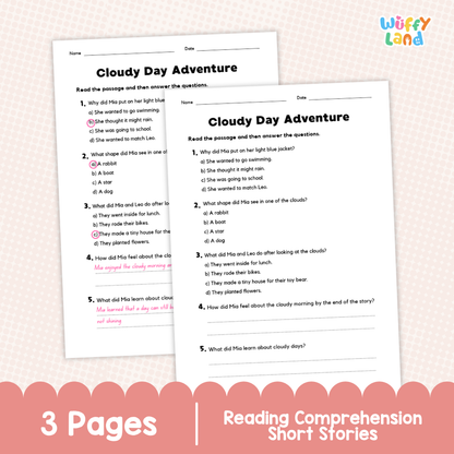 Cloudy Day Adventure Reading Comprehension Passage and Questions Worksheets
