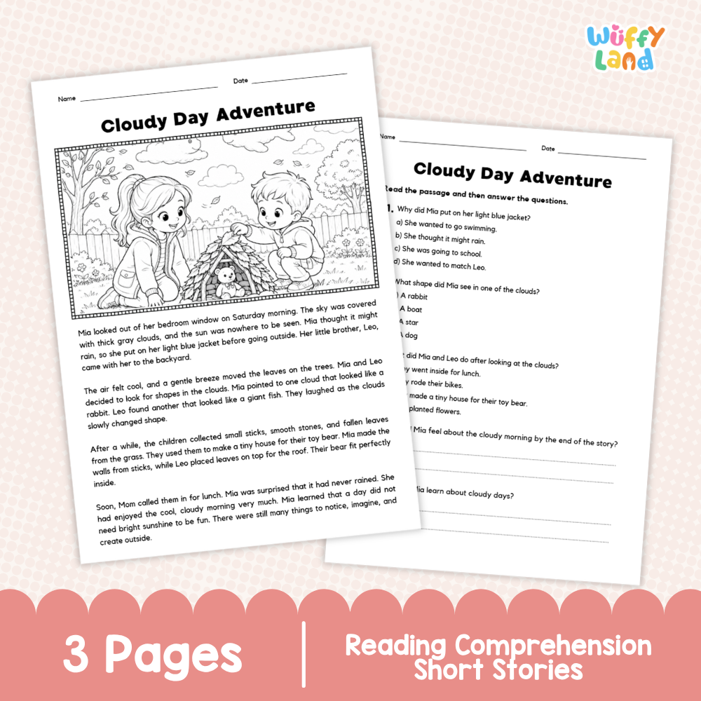 Cloudy Day Adventure Reading Comprehension Passage and Questions Worksheets
