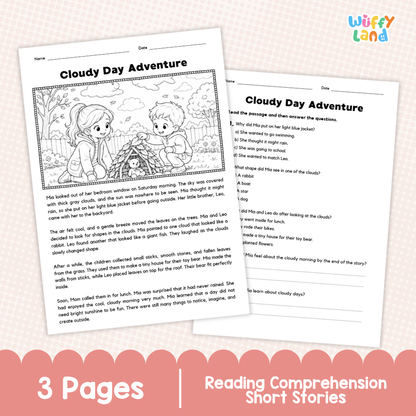 Cloudy Day Adventure Reading Comprehension Passage and Questions Worksheets