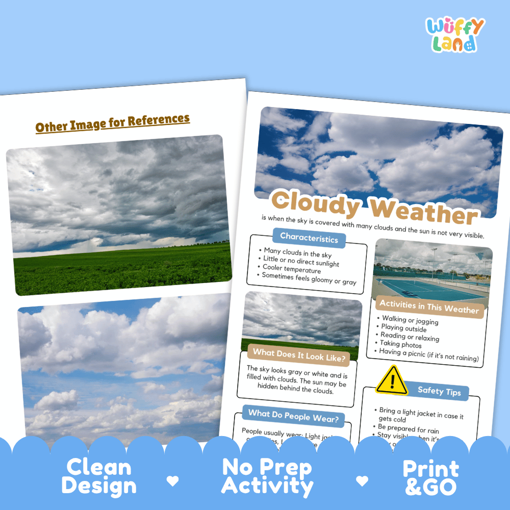 Cloudy Weather Research Worksheets and Informational Fact Sheets