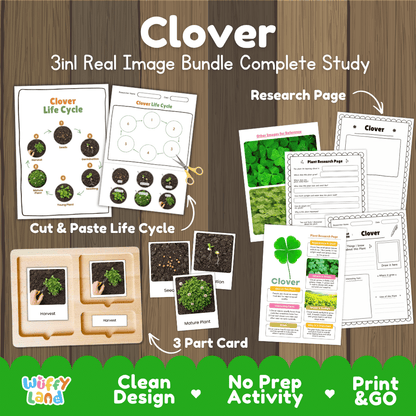 Clover plant 3in1 real image bundle complete study printable featuring life cycle cut and paste worksheets, Montessori 3-part cards, and research pages