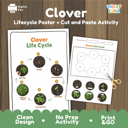 Clover Lifecycle Poster and Cut and Paste Activity Worksheets | Plant Science Printables