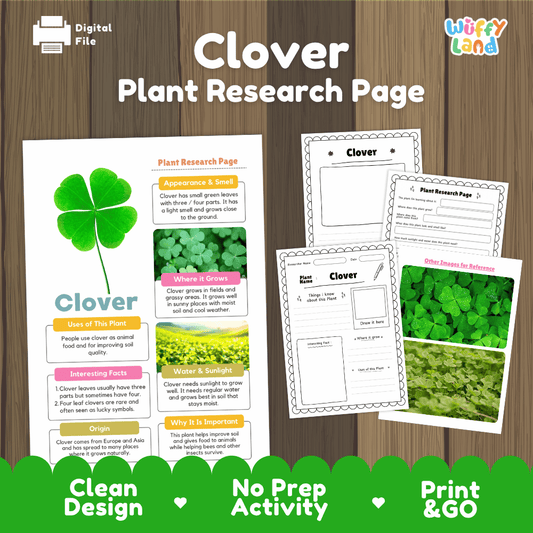 Student plant research page writing worksheets with real close up green four leaf clovers and blooming white clover meadow reference photos, lined note-taking prompts, and drawing frames