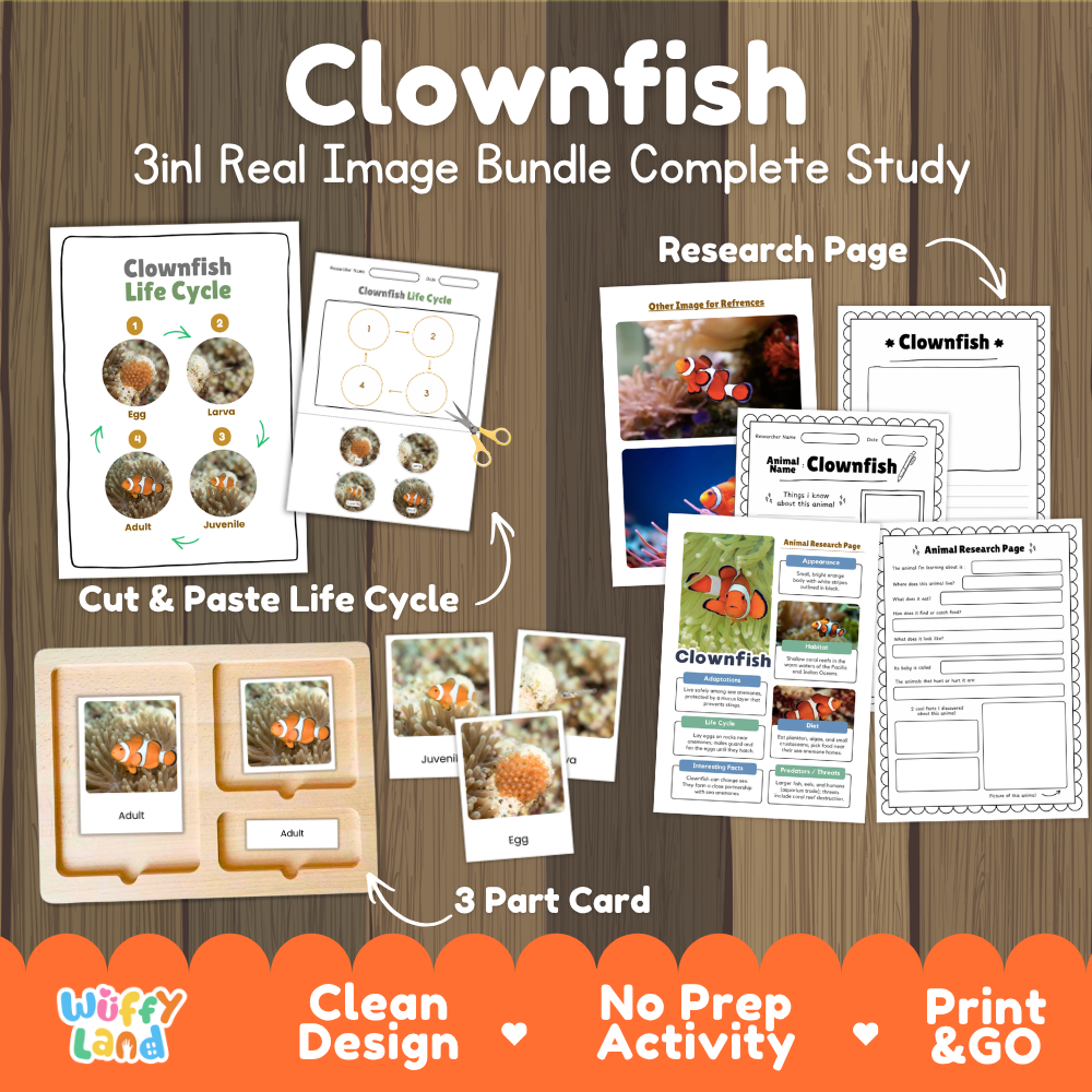 Clownfish 3-in-1 real image bundle complete study cover showing cut and paste life cycle, 3 part cards, and research pages