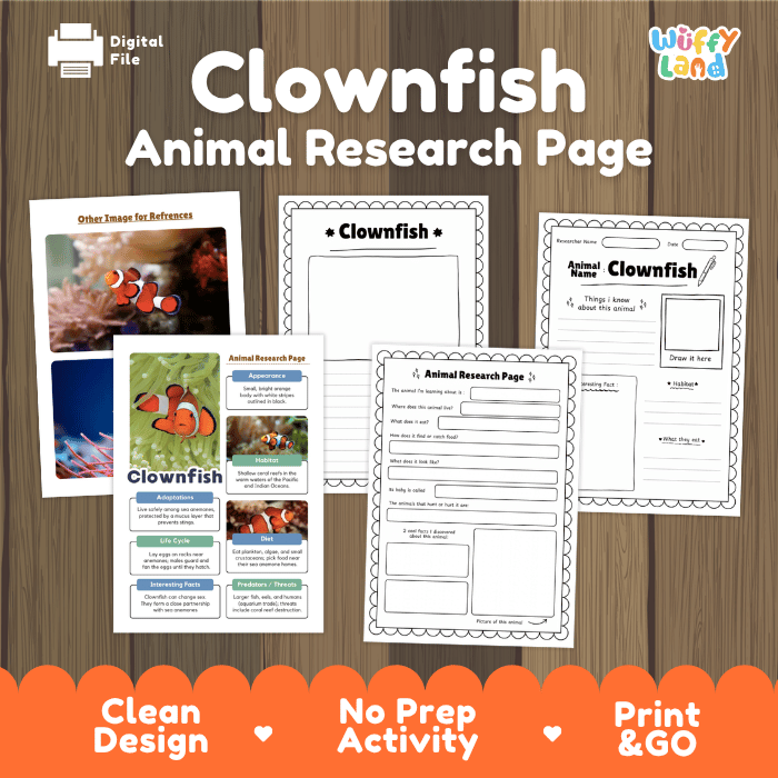 Digital preview of a 'Clownfish Animal Research Page' activity sheet set by Wiffy Land, displayed on a wood-grain background with promotional text at the bottom.