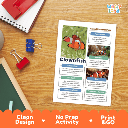 A printed educational worksheet about clownfish titled 'Animal Research Page' lies on a wooden desk, surrounded by school supplies like a red notebook, blue binder clips, and a pencil. The sheet includes a clownfish photo and labeled sections about appearance, habitat, adaptations, life cycle, and interesting facts.