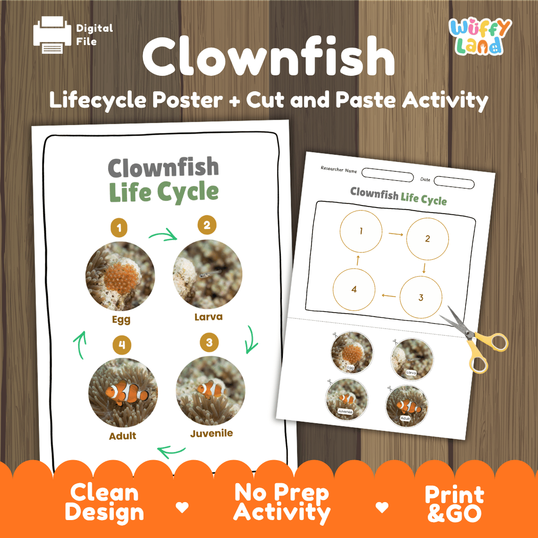 Clownfish Life Cycle Poster and Cut and Paste Worksheet Activity