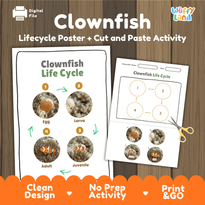 Clownfish Life Cycle Poster and Cut and Paste Worksheet Activity