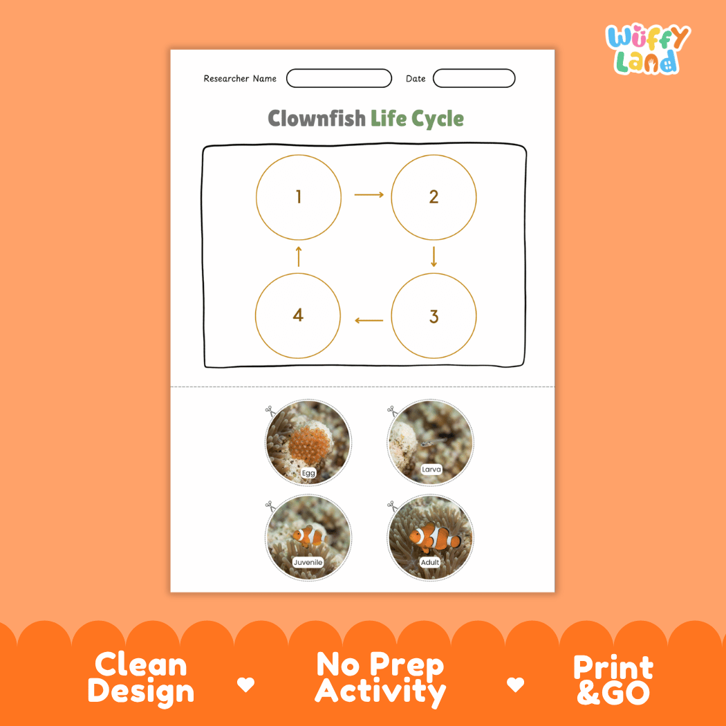 Clownfish Life Cycle Poster and Cut and Paste Worksheet Activity