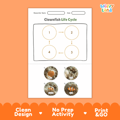 Clownfish Life Cycle Poster and Cut and Paste Worksheet Activity