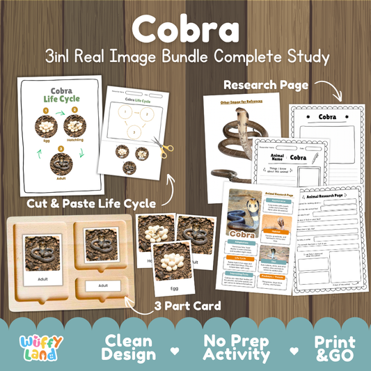 Cobra 3-in-1 real image bundle complete study cover showing cut and paste life cycle, 3 part cards, and research pages