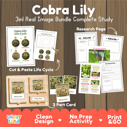 Cobra Lily carnivorous plant life cycle 3-in-1 complete study bundle featuring real images, Montessori 3-part cards, cut and paste activities, and research pages