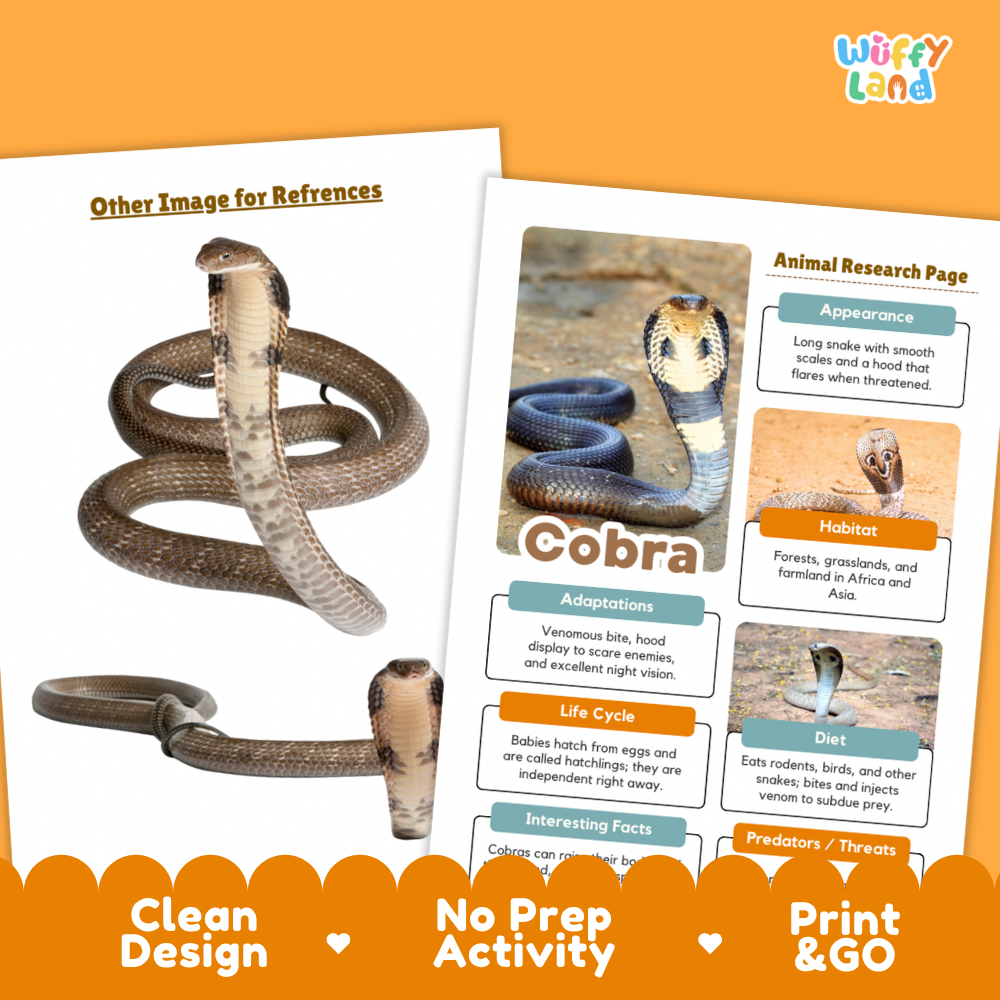 Two printed reference activity sheets for learning about a cobra snake, shown on an orange background with promotional text reading 'Clean Design,' 'No Prep Activity,' and 'Print & GO.' The right sheet includes a labeled cobra photo, appearance, habitat, adaptations, life cycle, diet, and predators sections.