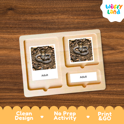 A wooden activity board with two labeled slots reading 'Adult' and a small photo of a coiled snake, shown on a wood-grain background. The brand logo 'Wuffy Land' appears in the top right, and marketing text along the bottom reads 'Clean Design', 'No Prep Activity', and 'Print & GO'.