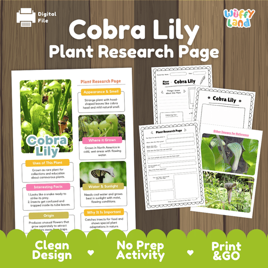 Educational Cobra Lily plant research worksheets and informational fact sheets with real plant photos for elementary students