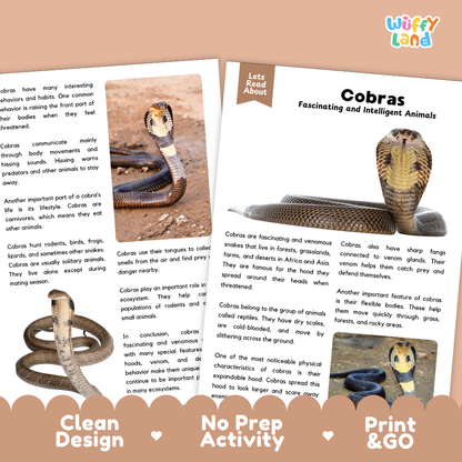 A printed educational poster about cobras, shown alongside a small inset photo of a cobra snake and a cobra figurine. The poster has a white background with black text and a blue header reading 'Cobras Fascinating and Intelligent Animals.