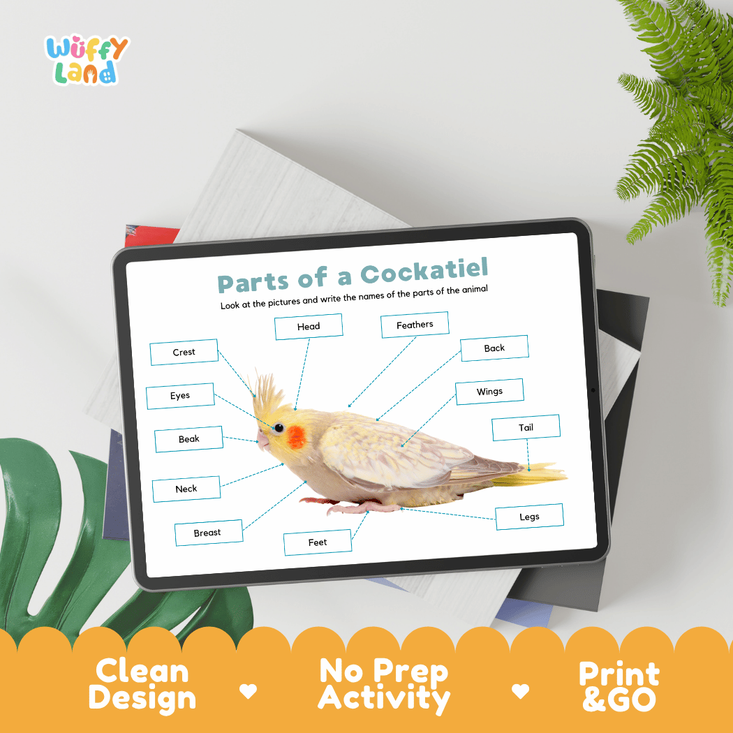 Hands-on cockatiel anatomy cut and paste worksheet with printable word tags, callout pointer lines, and scissors graphic