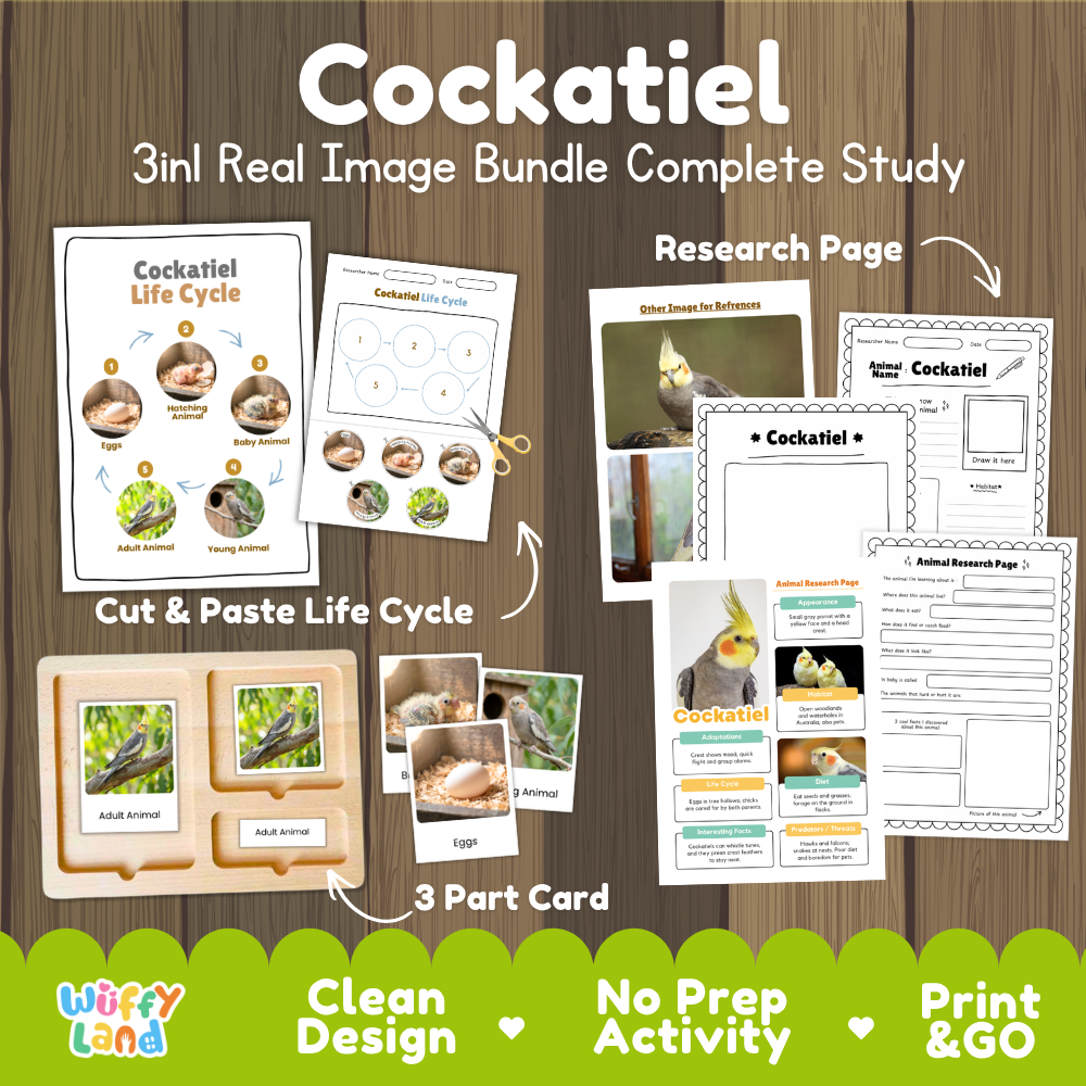 Cockatiel 3-in-1 real image bundle complete study cover showing cut and paste life cycle, 3 part cards, and research pages