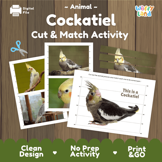 Cockatiel Cut and Match Activity Worksheets | Pet Bird Puzzle Printables